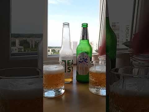 Test porównanie Lech Easy vs Żywiec Lekkie. Które lepsze?