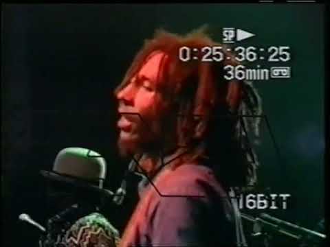 Bob Marley " Video Live NY 75 " Nice Time/Talkin' Blues !!