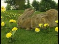 Teletubbies Favoritsaker Del 8 Svenska