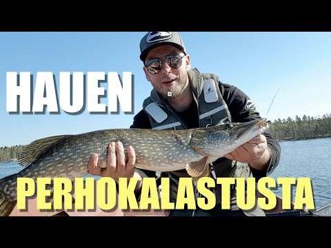 Hauen perhokalastusta - Esittelyssä  Scandi -perhokela - Finn -perhovapa - perhokalastus