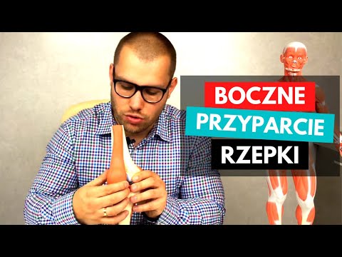 Trójgłowy mięsień naramienny Wikipedia Mężczyźni domu ćwiczenia mięśni zdjęcia