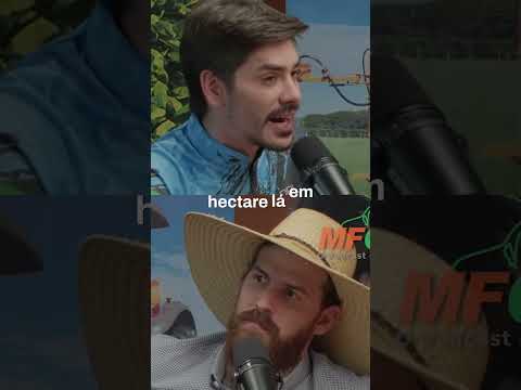 Plantando 700 Hectares em Minas Gerais #shorts