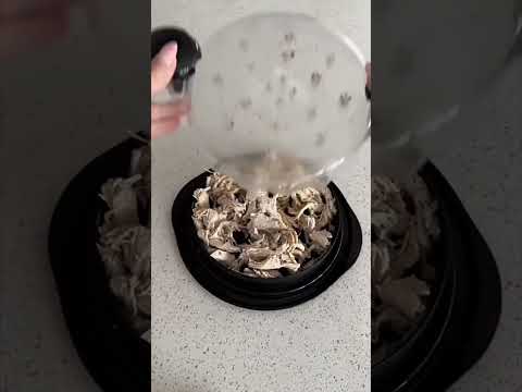 Chicken Shredder with Transparent Cover: Large Anti-Slip Rotating Tool