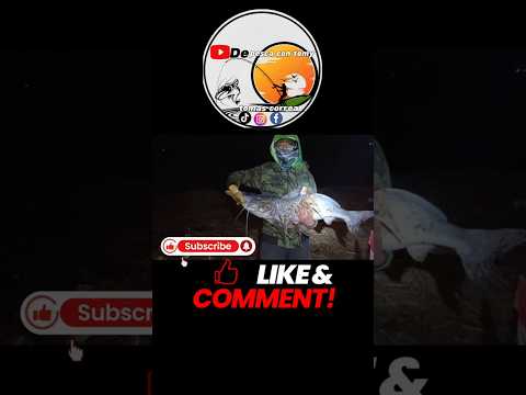 #pesca fighiera #pescado #esquina#rioparaná #lineadepesca #isla #lineadepesca #riodejaneiro #pesca