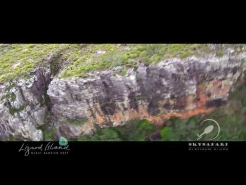 download lagu mp3 mp4 Tropical Dreamtimes, download mp3 Tropical Dreamtimes free download, download mp3 Tropical Dreamtimes