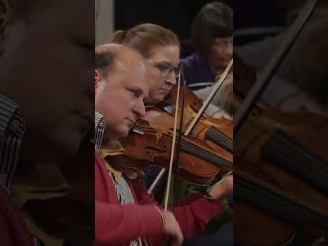 Signum Records and 2 more