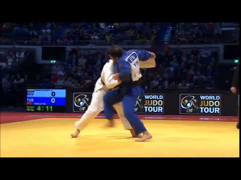 Ozlu. Judo Vine