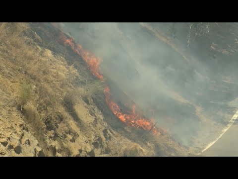 KSEE 24 News Fire crews battle Mineral Fire and take COVID-19 precautions