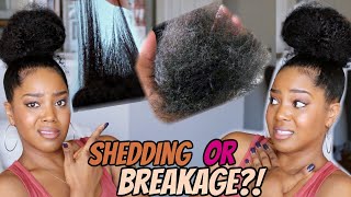 Shedding or Breakage - How To Tell The Difference & Fix It | Natural Hair | Melissa Denise