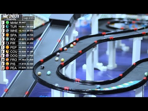 LOOK AT THE END OF THIS MARBLE RACE! Marble Circuits 2021 by Fubeca Race