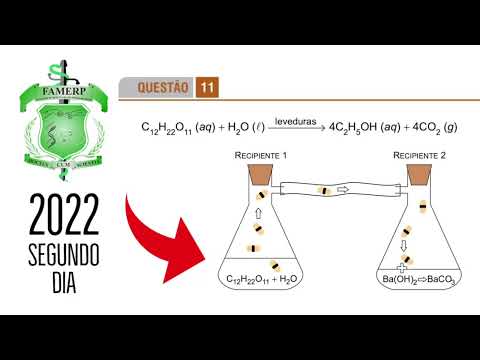FAMERP 2022 | SEGUNDO DIA | QUESTÃO 11