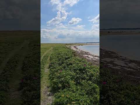 A Perfect Day Trip to Rørvig: Beaches, Boats & Beauty #denmark