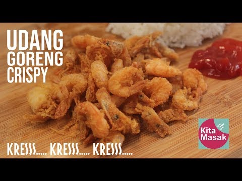 download lagu mp3 mp4 Snack Udang, download lagu Snack Udang gratis, unduh video klip Snack Udang