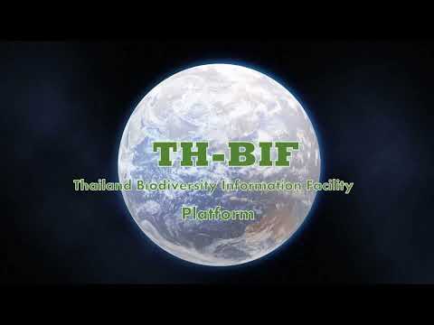 คลังข้อมูลความหลากหลายทางชีวภาพของประเทศไทย (Thailand Biodiversity Information Facility: TH-BIF)
