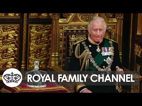 From Prince Charles to King Charles III: Charles's New Role