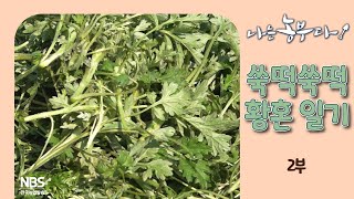 [나는농부다 298회 2부] 쑥떡쑥떡 황혼 일기