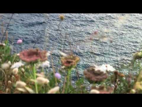 TELVA NOVIEMBRE - BELLEZA - AROMAS DEL SUR DE FRANCIA