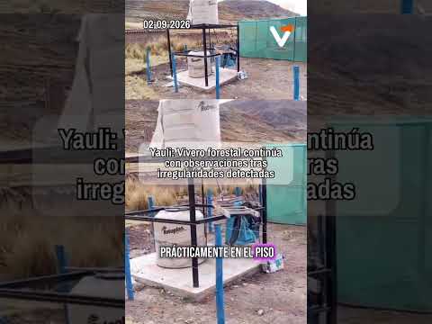 ¿Qué pasa con el vivero de Yauli?