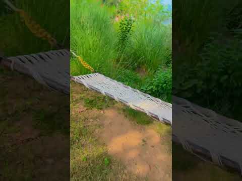 You can ask the flowers #singer #coversong #song #music