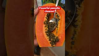 Download lagu Don't throw away those papaya seeds! #shorts #shortsvideo mp3 Download lagu Don't throw away those papaya seeds! #shorts #shortsvideo mp3