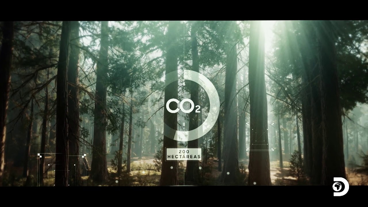 Thumbnail for Maestro de Obra / Experiencia en Bodegas