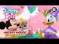 Mickey Mouse Doldwaze Avonturen | ? Puppy Verjaardag | Disney Channel NL