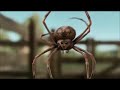 Charlotte S Web Wilbur Made New Friends With Spider