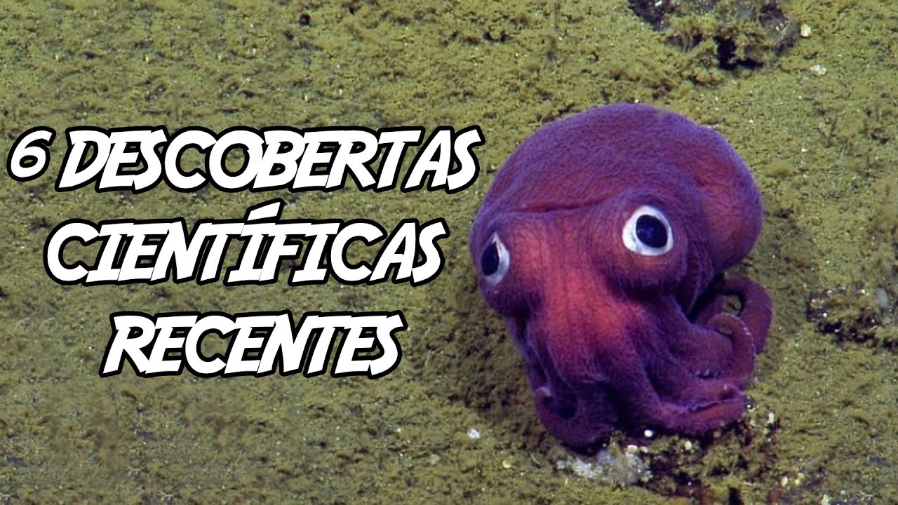 6 Descobertas Científicas Recentes