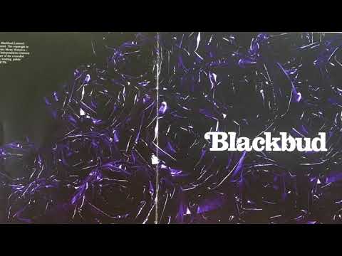 Blackbud - So it seems
