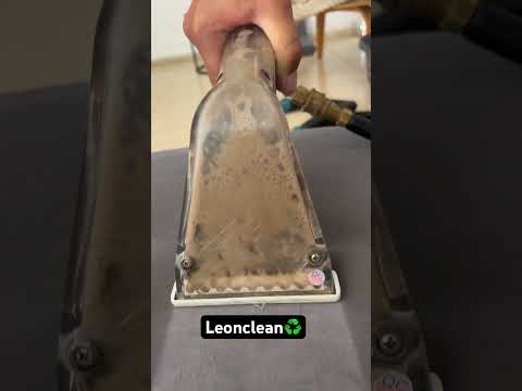 תמונה של Leonclean