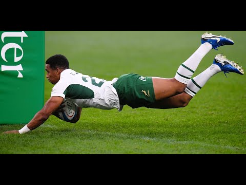 Highlights: Springboks vs Italy in Turin