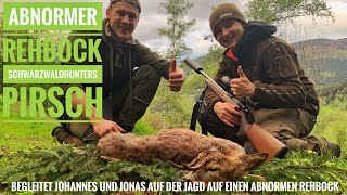 | Bock Jagd | abnormen Rehbock | Pirsch | Schwarzwaldhunters |