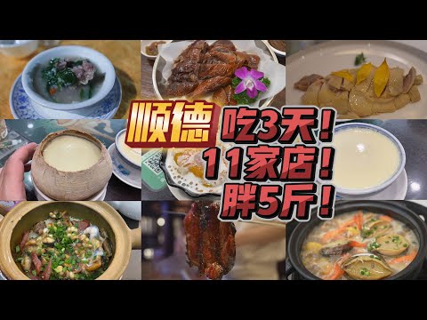 3天胖5斤！喫遍順德11家店！ 燒鵝煲仔飯鮮粥火鍋魚蝦鮑魚豬雜雙皮奶.....順德果然是美食者的天堂！