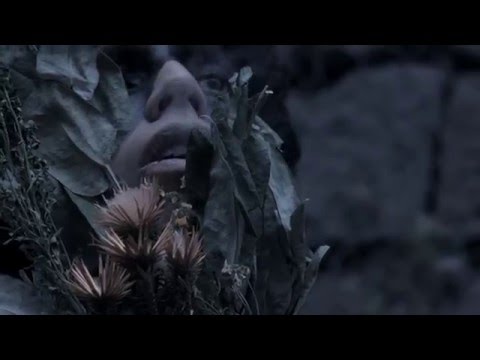 Medicina para la Cabeza  - Bueyes De  Madera ft. Alex Alvear (VIDEOCLIP OFICIAL)