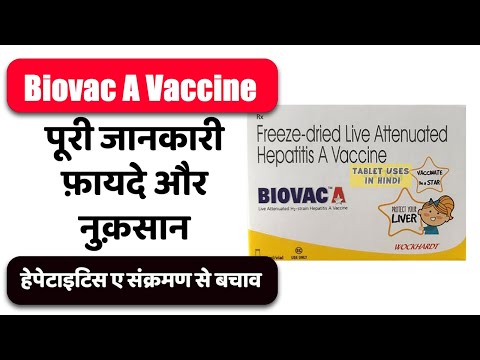 0.5Ml Biovac Freeze Dried Hepatitis A Vaccine, 360 HM