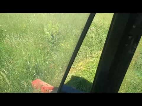 Косилка Lisicki Z-178 #Косилка #Lisicki