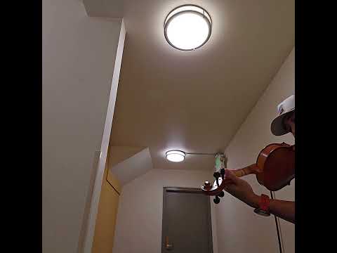 2000s |ROM| Hermet Schartel HD902 4/4 Violin | New European Bridge | New Bow & Strings image 10