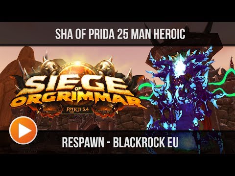 Respawn vs. Sha of Pride - 25 Man - Heroic (Warlock POV)