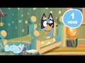 LIVE Snuggle Up In Bed With The Heelers ️ Bluey S Calm Moments To Unwind Bluey