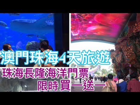 吃貨地圖「澳門珠海遊#2」 珠海長隆海洋王國/珠海馬戲團/珠海民宿體驗/如何經港珠澳大橋由珠海到香港