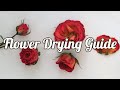 How to Dry Flowers: 4 Methods