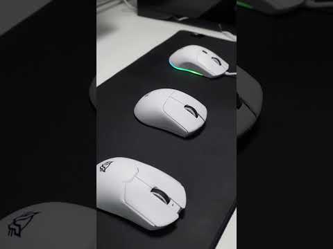 Video 1