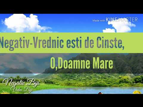 Negativ-Vrednic esti de cinste, O Doamne mare