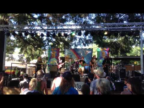 Mystic Roots live from 2013 SNWMF