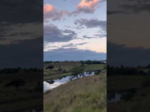 Walk by Río del Medio | Córdoba  Argentina. #NatureWalk#Paisajes#senderismo #naturevideo