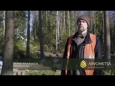 Alikasvoksen elpyminen yläharvennuksen jälkeen