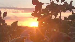 You&#39;re the Power