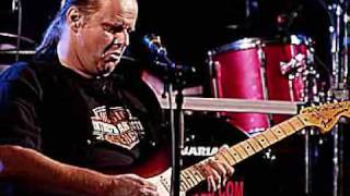 Welcome To The Human Race - Walter Trout, solos by David Locke