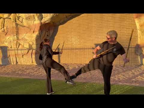 Double Stick - Roundhouse Kick to Backhand then Backhand to Roundhouse Kick