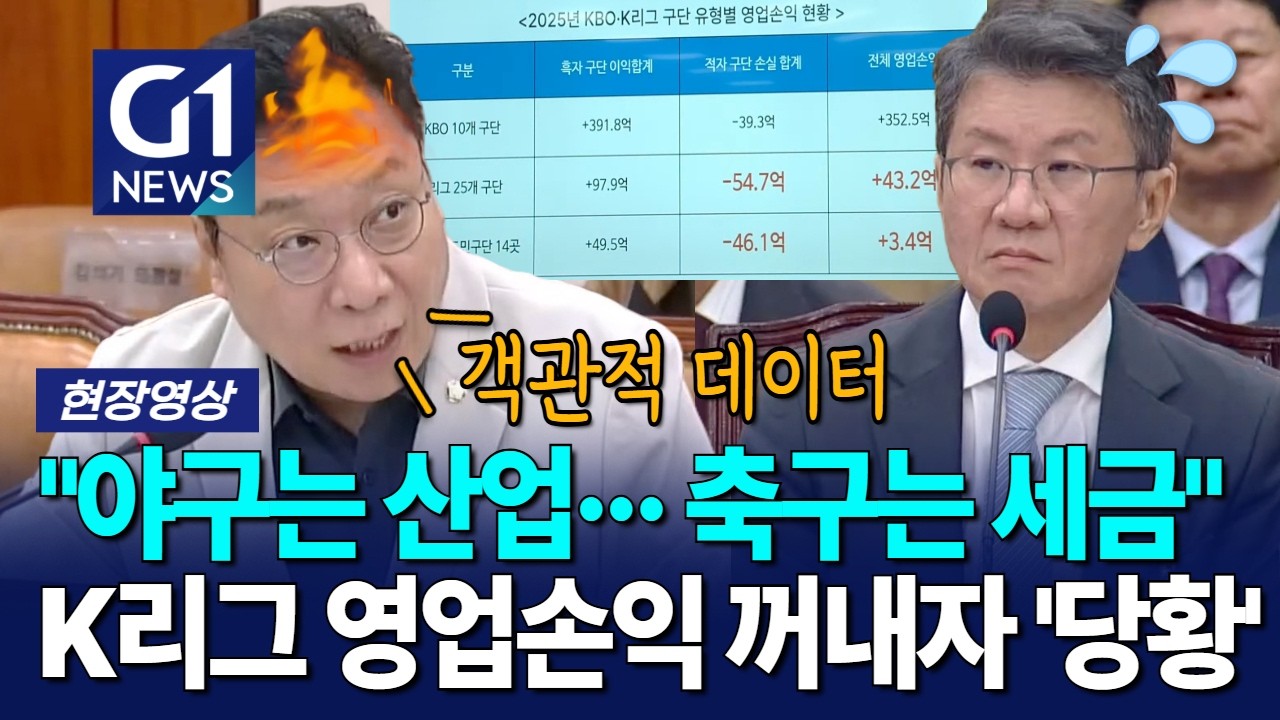"야구는 산업··· 축구는 세금" K리그 영업손익 꺼내자 '당황' [G1현장영상]